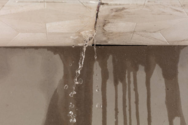 Professional Water Damage Repair technician working in Brent, AL